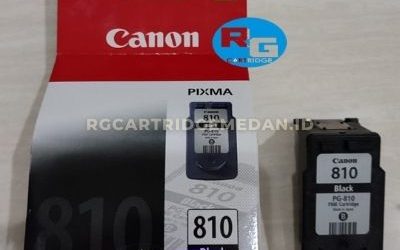 Cartridge Canon 810